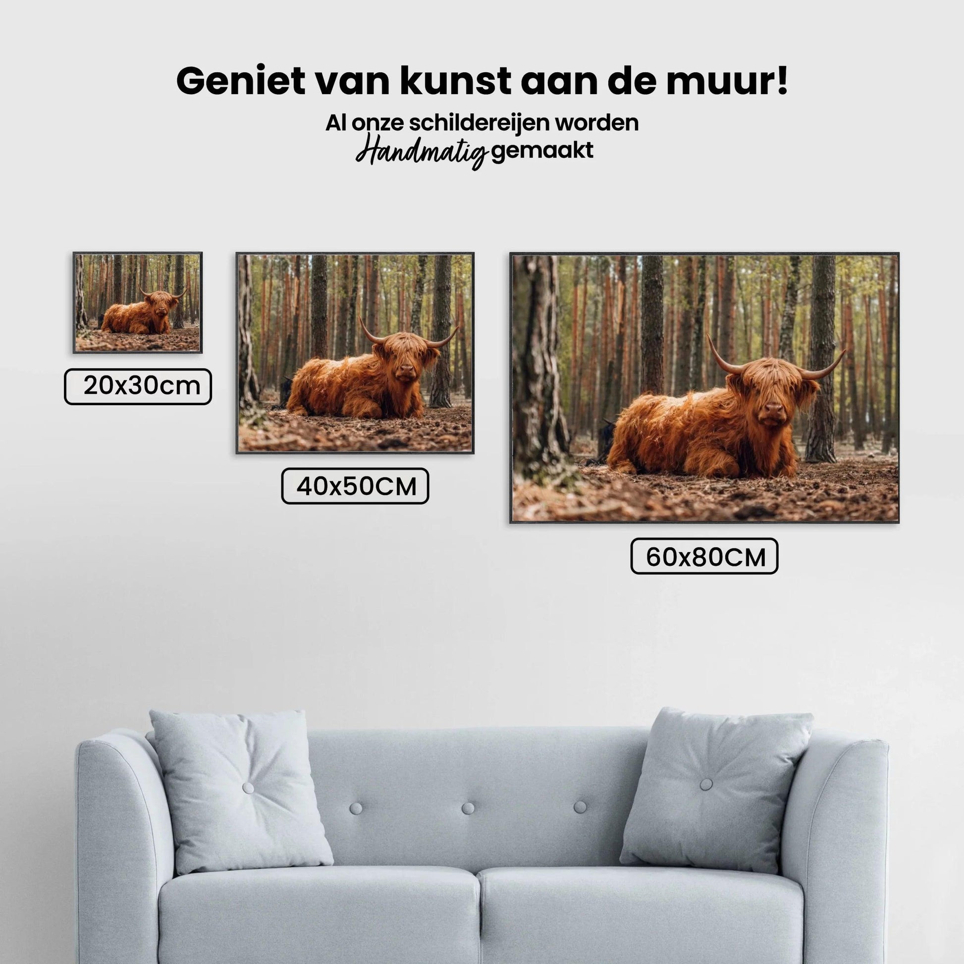 Diamond Painting Schotse hooglander - Schotse hooglander liggend in het bos - SEOS Shop ®