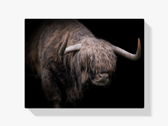 Diamond Painting Schotse hooglander - Schotse hooglander met dikke vacht - SEOS Shop ®