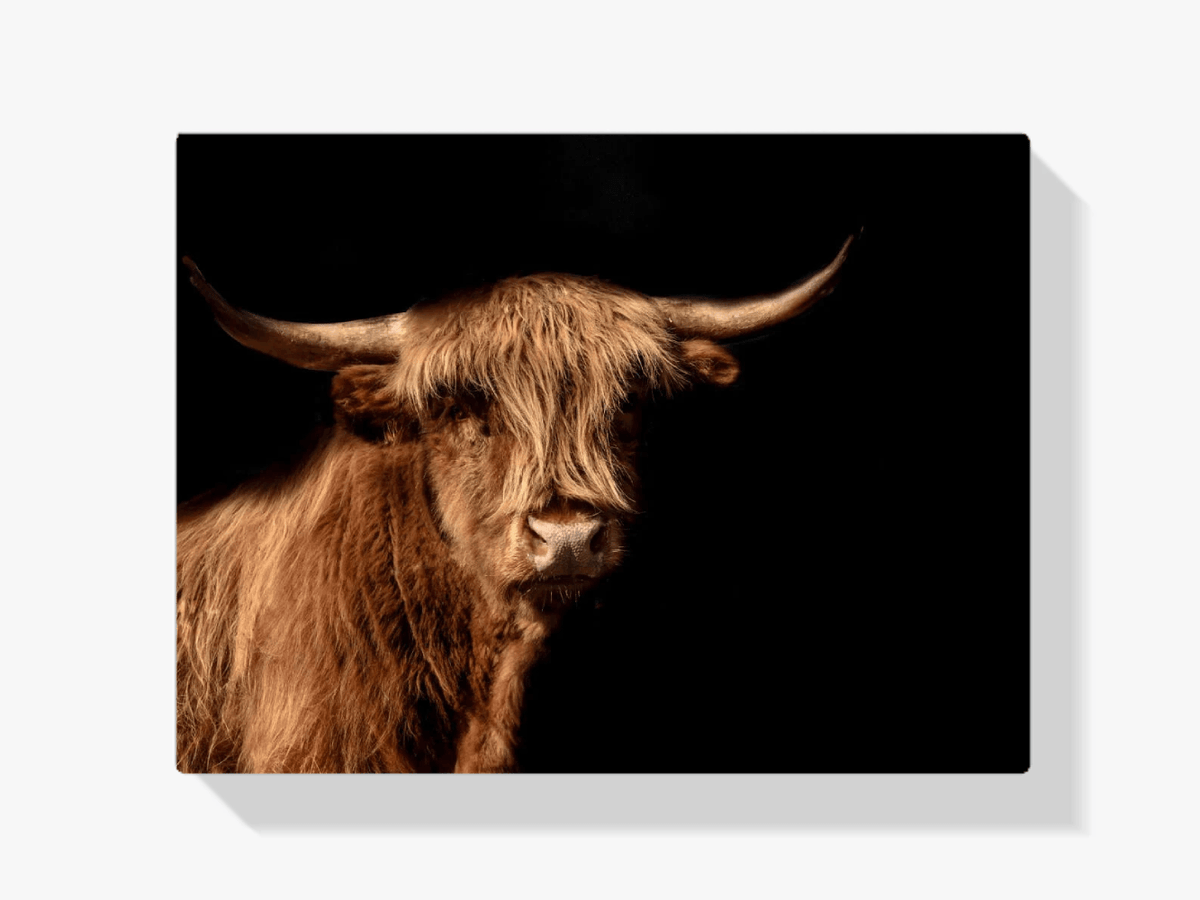 Diamond Painting Schotse hooglander - Schotse hooglander ook wel hoogland koe in beeld - SEOS Shop ®