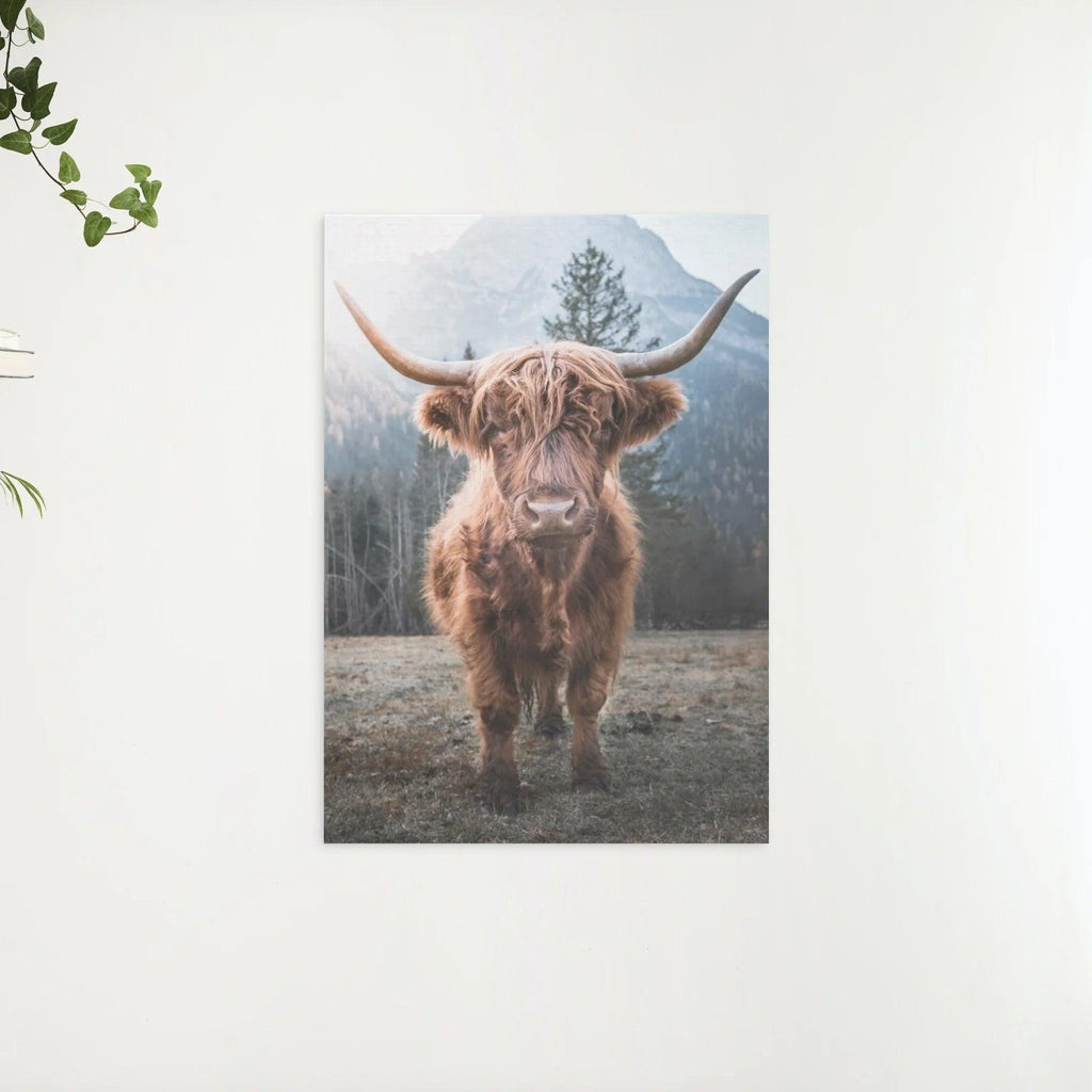 Diamond Painting Schotse hooglander - Schotse hooglander op een bevroren weide in de Italiaanse bergen - SEOS Shop ®