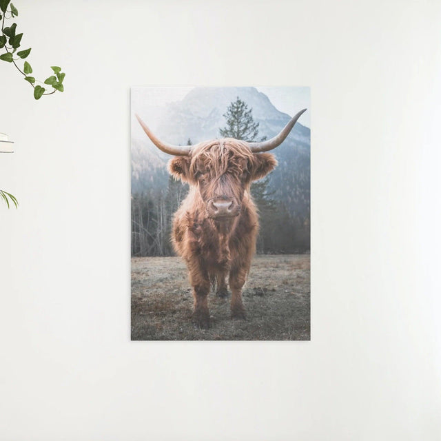 Diamond Painting Schotse hooglander - Schotse hooglander op een bevroren weide in de Italiaanse bergen - SEOS Shop ®