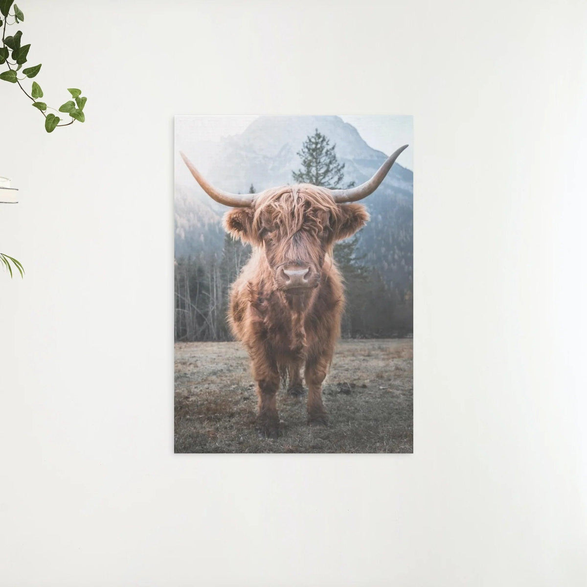 Diamond Painting Schotse hooglander - Schotse hooglander op een bevroren weide in de Italiaanse bergen - SEOS Shop ®