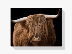 Diamond Painting Schotse hooglander - Schotse hooglander van dichtbij - SEOS Shop ®