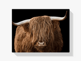 Diamond Painting Schotse hooglander - Schotse hooglander van dichtbij - SEOS Shop ®