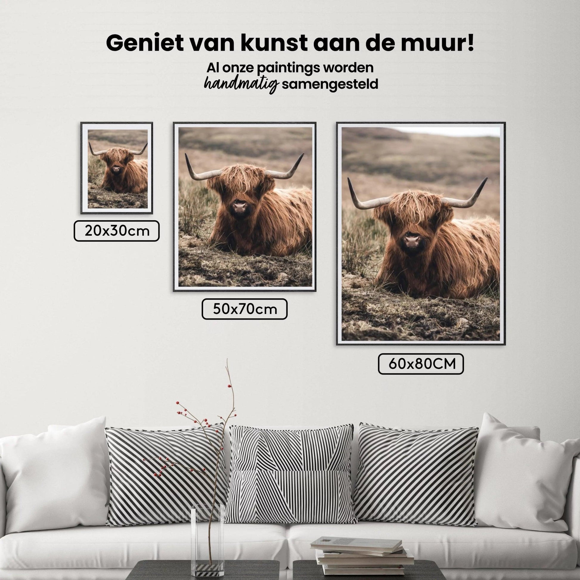 Diamond Painting Schotse hooglander - Vriendelijke Schotse hooglander rustend in het veld - SEOS Shop ®