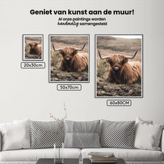 Diamond Painting Schotse hooglander - Vriendelijke Schotse hooglander rustend in het veld - SEOS Shop ®