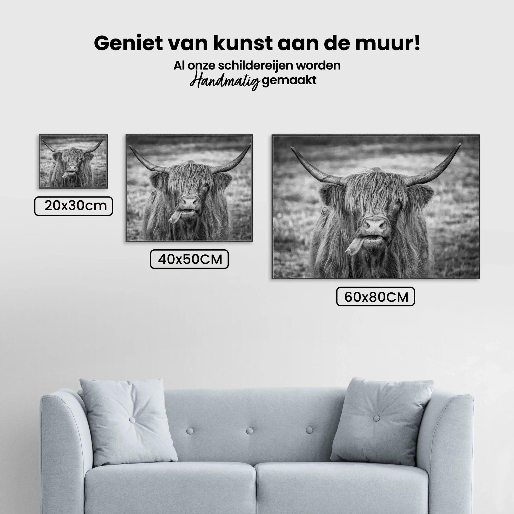 Diamond Painting Schotse hooglander - Zwart-wit beeld van Schotse hooglander - SEOS Shop ®