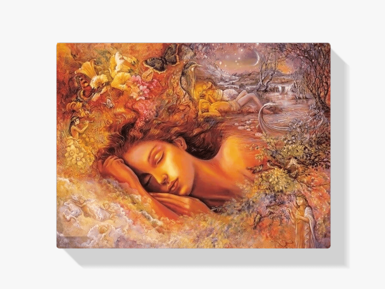 Diamond Painting Slapende feeën - SEOS Shop ®