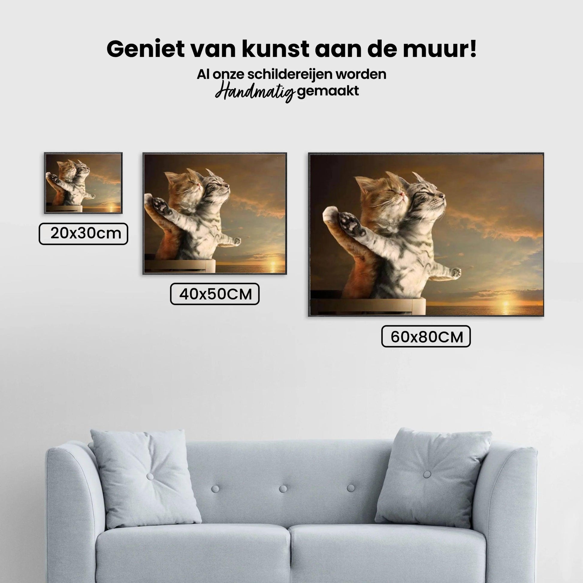 Diamond Painting Titanic Katten - SEOS Shop ®