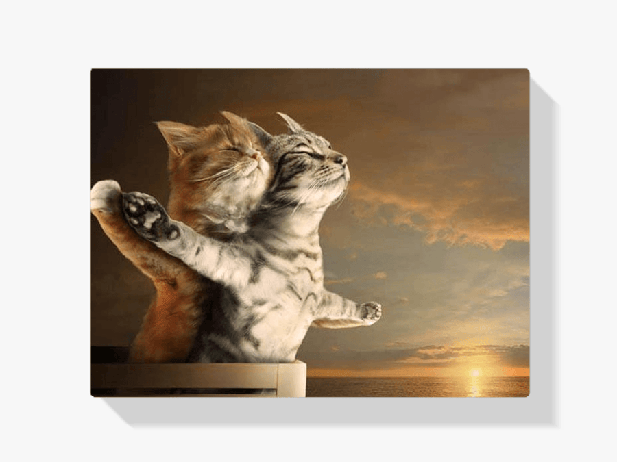 Diamond Painting Titanic Katten - SEOS Shop ®