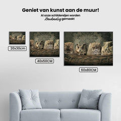 Diamond Painting Uil en katten in mand - SEOS Shop ®