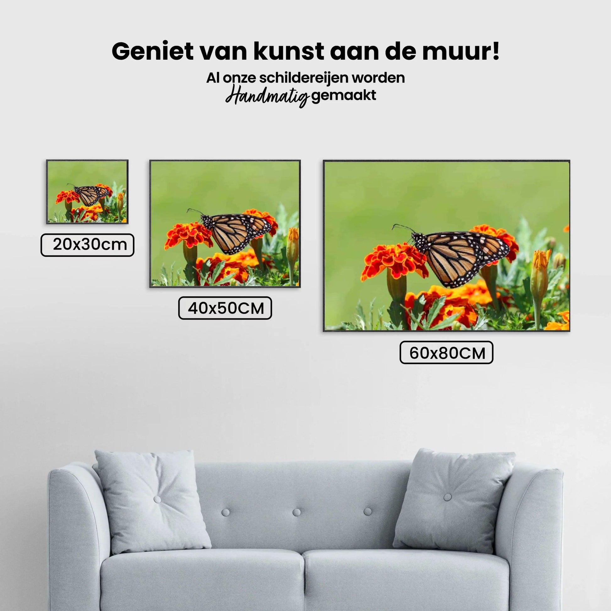 Diamond Painting Vlinder - SEOS Shop ®