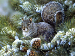 Diamond Painting Winter Schattige Eekhoorn - SEOS Shop ®