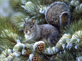 Diamond Painting Winter Schattige Eekhoorn - SEOS Shop ®