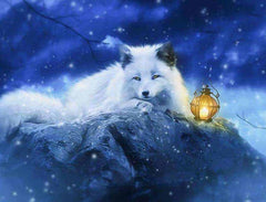 Diamond Painting Witte Vos met lampje – SEOS Shop ®