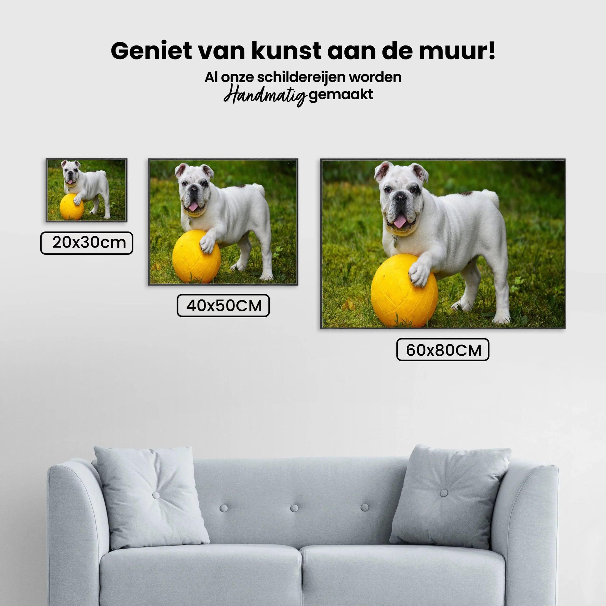 Diamond Painting Witte bulldog met bal - SEOS Shop ®