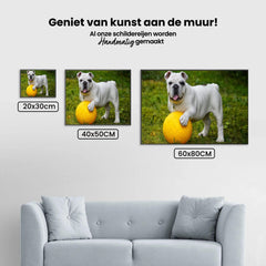 Diamond Painting Witte bulldog met bal - SEOS Shop ®