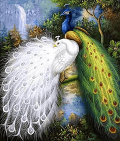 Diamond Painting Witte en blauwe pauwen - SEOS Shop ®