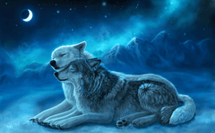 Diamond Painting Wolven Koppel - SEOS Shop ®
