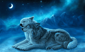 Diamond Painting Wolven Koppel - SEOS Shop ®