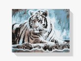 Diamond Painting - Bengaalse tijger - SEOS®