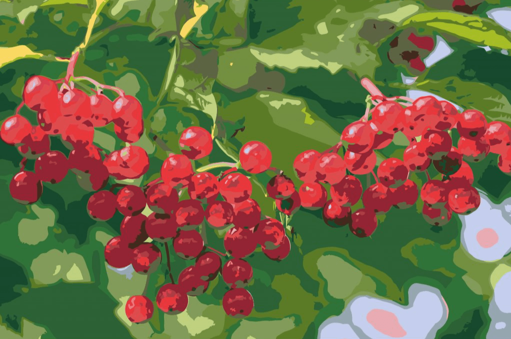 Diamond Painting - Bessen aan de boom - SEOS Shop ®
