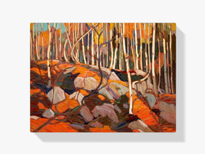 Diamond Painting - De Birch Grove - SEOS Shop ®