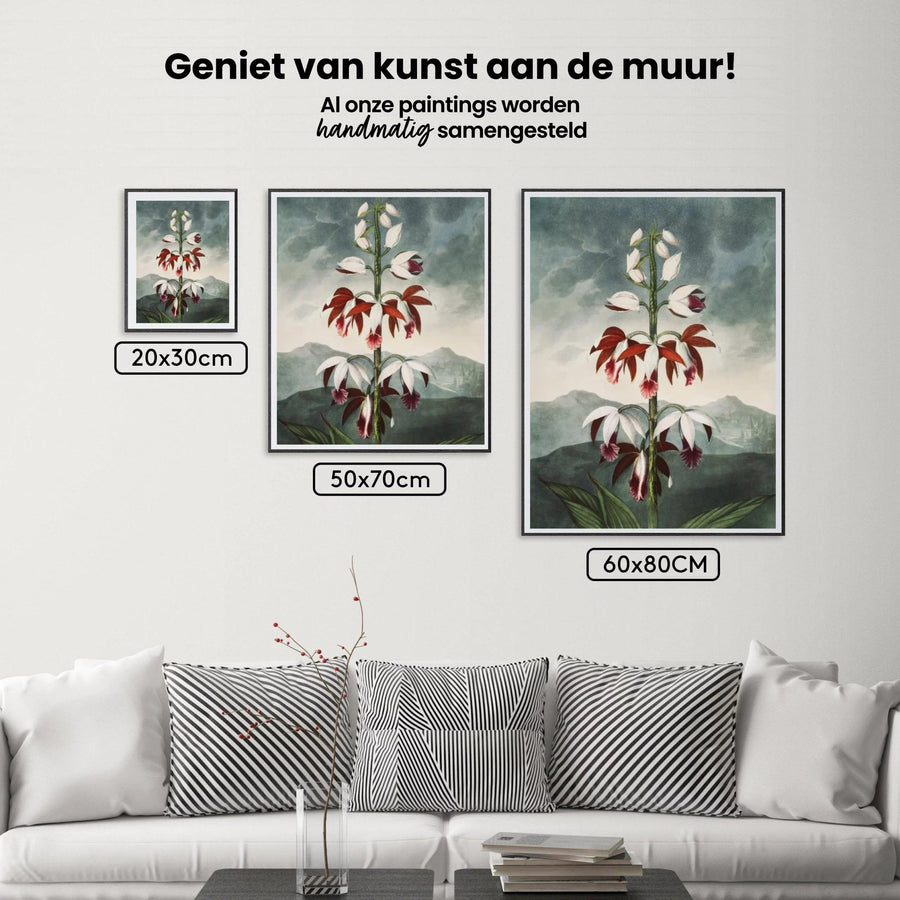 Diamond Painting - De Chinese Limodoron - SEOS Shop ®