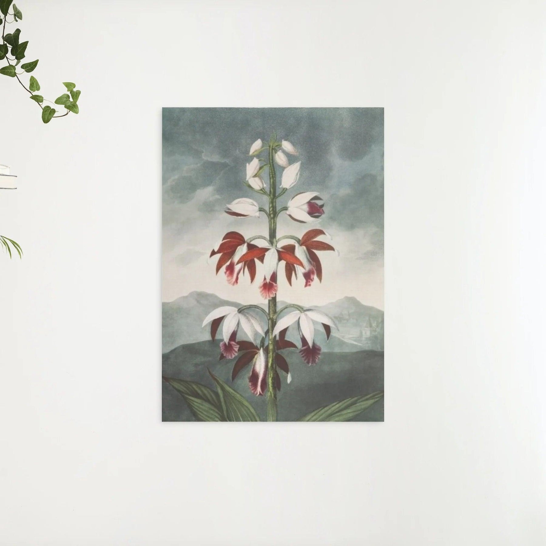 Diamond Painting - De Chinese Limodoron - SEOS Shop ®