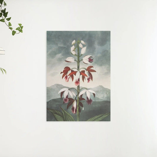 Diamond Painting - De Chinese Limodoron - SEOS Shop ®