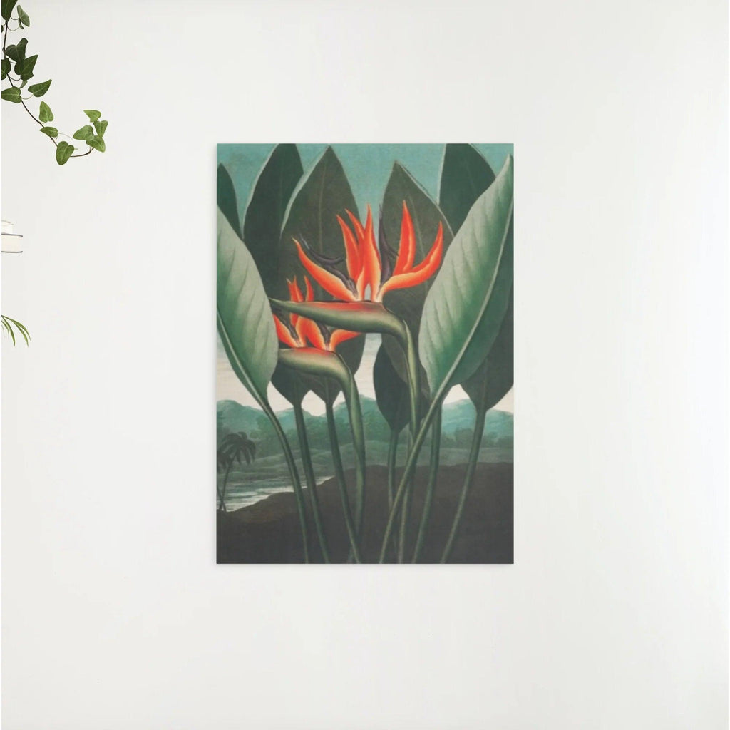 Diamond Painting - De Koningin Plant - SEOS Shop ®