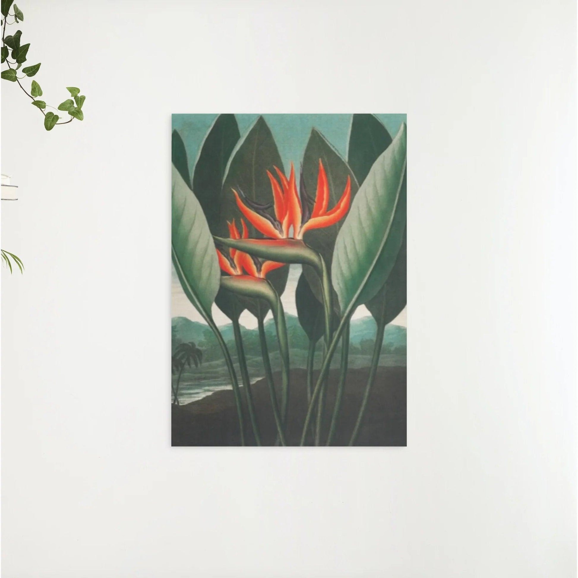 Diamond Painting - De Koningin Plant - SEOS Shop ®