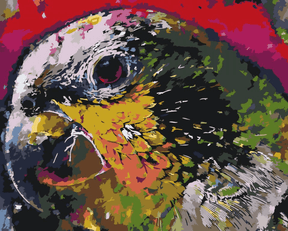 Diamond Painting - De kop van een papegaai - SEOS®