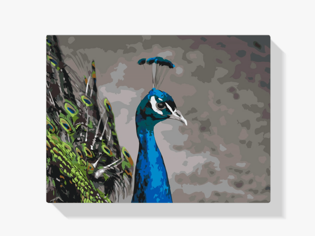 Diamond Painting - De majestueuze pauw - SEOS®