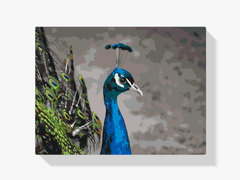 Diamond Painting - De majestueuze pauw - SEOS®
