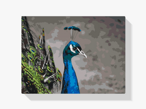 Diamond Painting - De majestueuze pauw - SEOS®