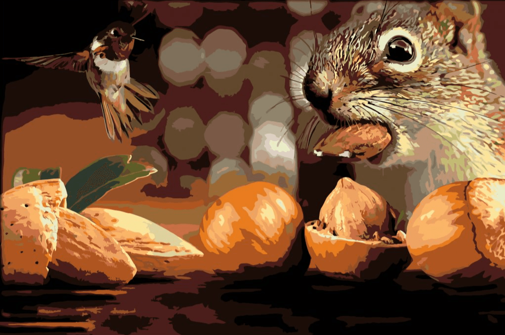 Diamond Painting - Eekhoorn en vogel - SEOS®