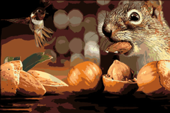 Diamond Painting - Eekhoorn en vogel - SEOS®