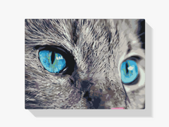 Diamond Painting - Een doordringende blik - SEOS®