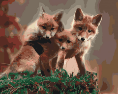 Diamond Painting - Een vossenwelp - SEOS®