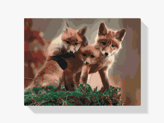 Diamond Painting - Een vossenwelp - SEOS®
