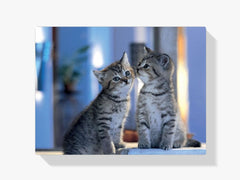 Diamond Painting - Familie Katten - SEOS®