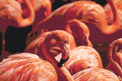 Diamond Painting - Flamingo’s 2 - SEOS®