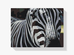 Diamond Painting - Focus op zebra - SEOS®