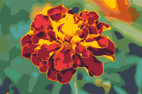 Diamond Painting - Goudsbloem - SEOS Shop ®