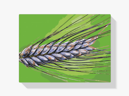 Diamond Painting - Graan - SEOS Shop ®