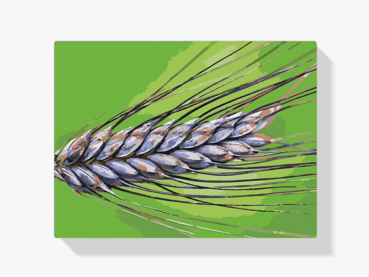 Diamond Painting - Graan - SEOS Shop ®