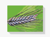 Diamond Painting - Graan - SEOS Shop ®