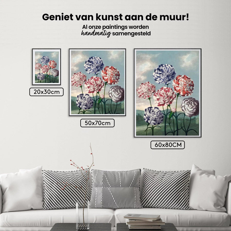 Diamond Painting - Groep Anjers - SEOS Shop ®