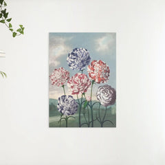 Diamond Painting - Groep Anjers - SEOS Shop ®